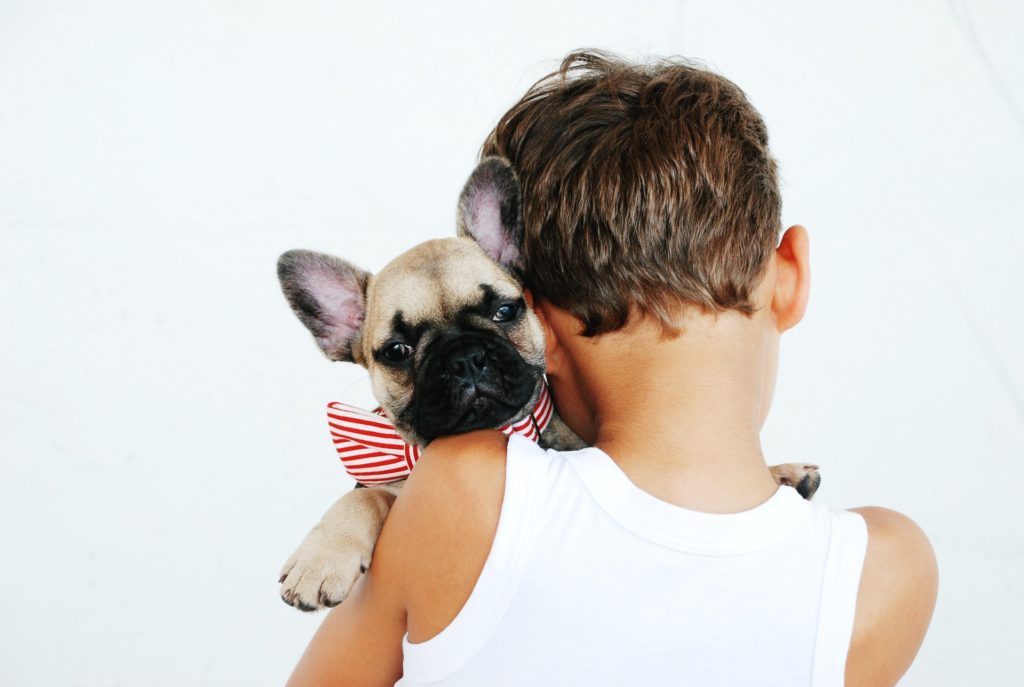 dog pet