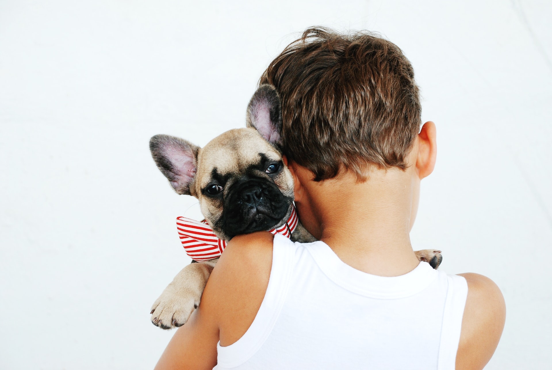 Reasons Why You Should Get a Dog for Your Kids