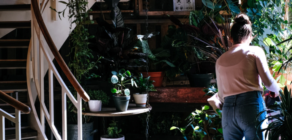 eco-friendly home